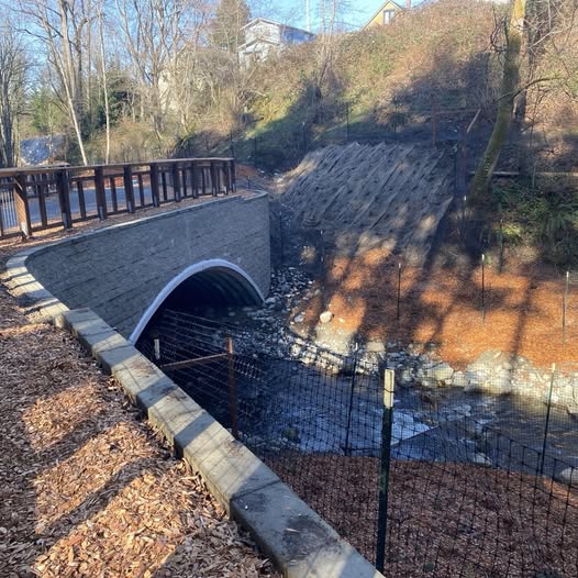 Bellingham Earth Week 2026: Storytimes, Creek Restoration, E-Waste Drop-Off, and More