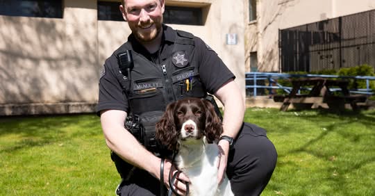 Meet Xena: Whatcom County Sheriff Adds New Contraband Detection Dog
