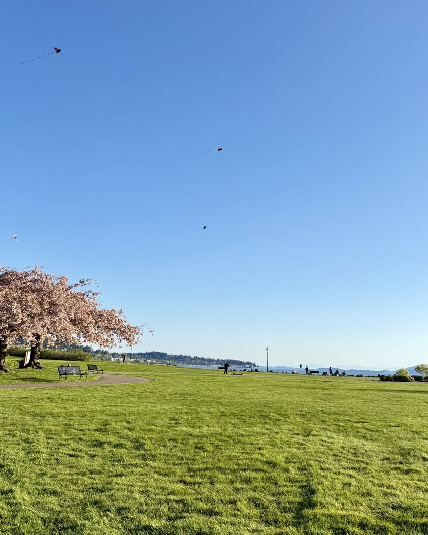 Spring Evening at Zuanich Point Park: Kites, Boats, Blooms, and Bellingham Bay Views