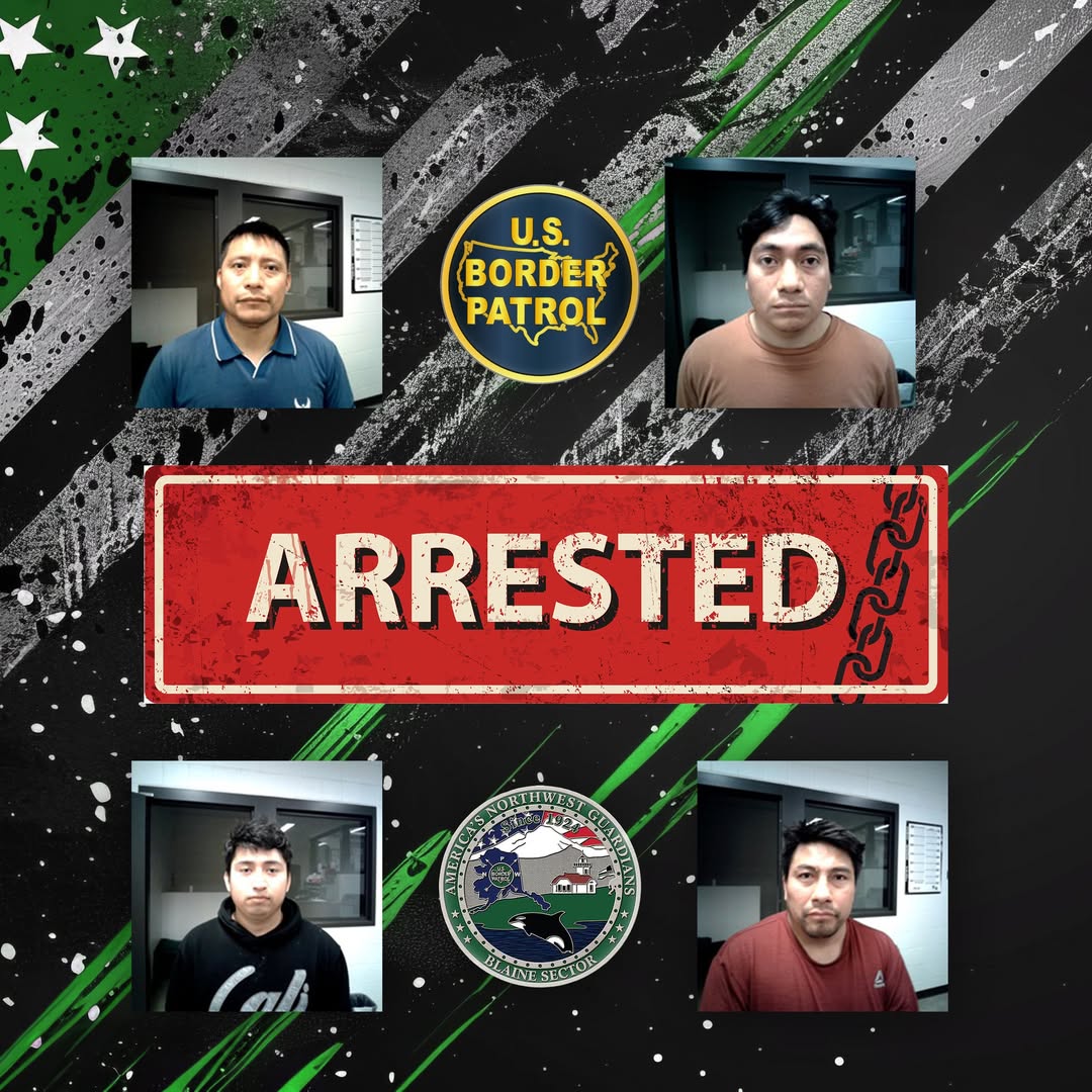 Border Patrol Arrests Four Near Lynden, WA After Evasion Attempt