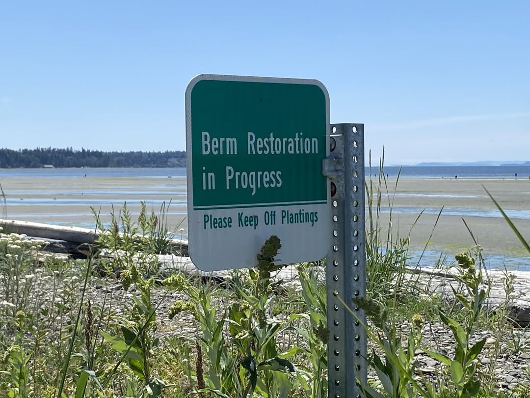 Whatcom County Installing Protective Fencing Along Birch Bay Berm Starting May 18