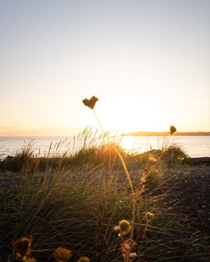 Birch Bay Summer Events 2026: Kite Festival, Sand Sculpture Competition, and Rollback Car Show