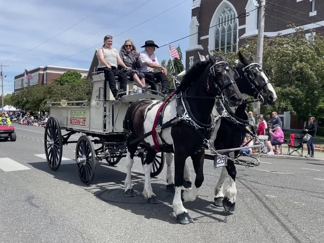 Bellingham's 2026 Memorial Day Parade Honors Fallen Heroes and Features a Very Special Chief
