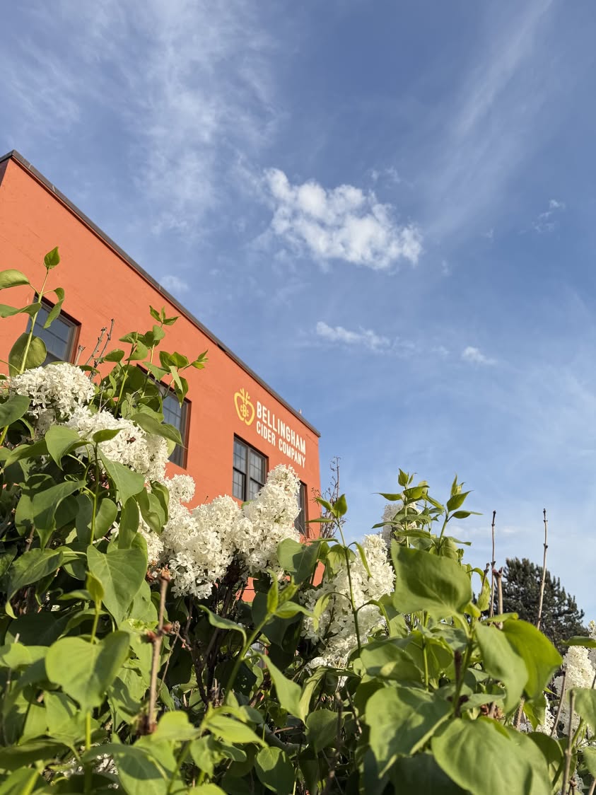 Snapshots of May: Bellingham Blooms, Live Music, and Local Flavors This Spring
