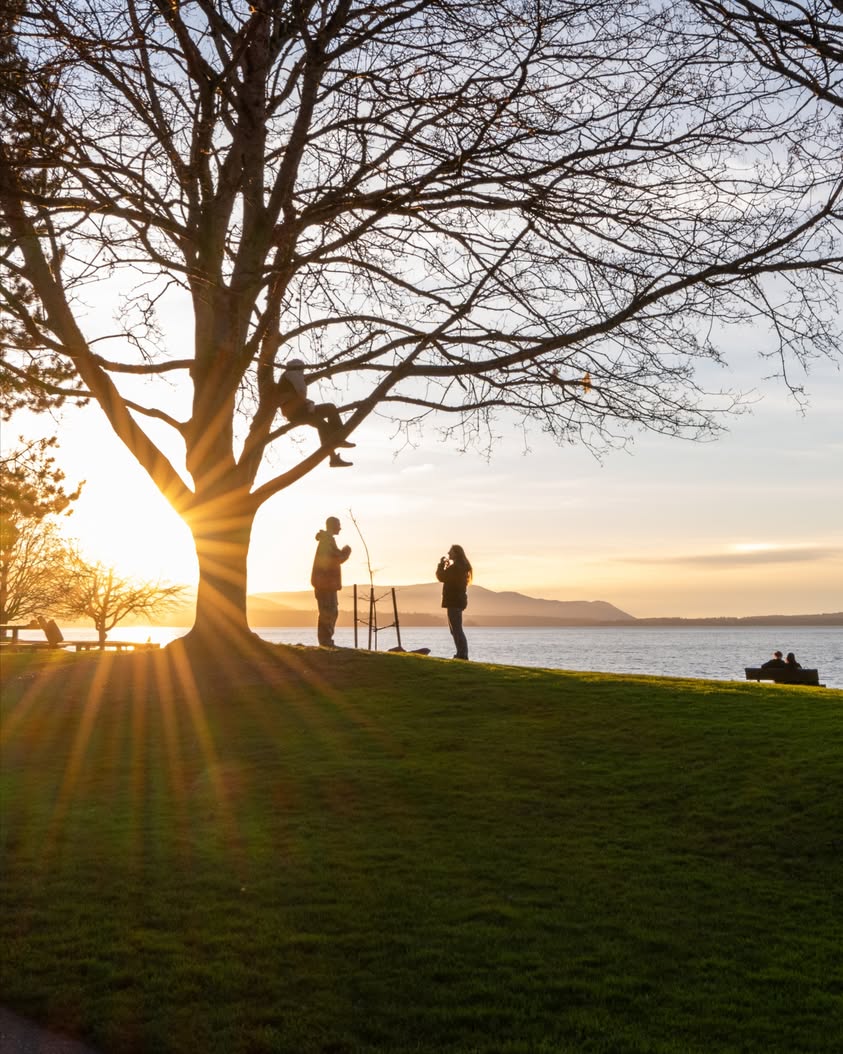 Boulevard Park and Bellingham's 9 PM Sunsets Are Back