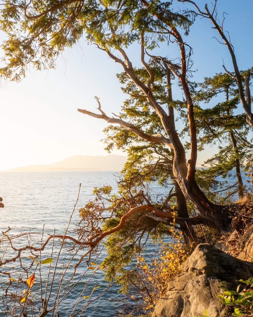 Larrabee State Park Draws Memorial Day Visitors as Bellingham Encourages Getting Outside