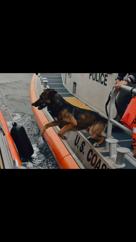 Coast Guard Station Bellingham Runs Joint Boarding and K9 Training with CBP and Border Patrol