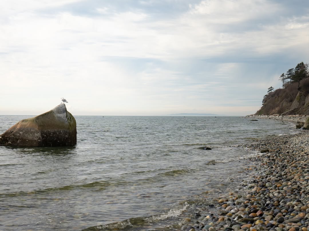 Explore Point Whitehorn Marine Reserve at 