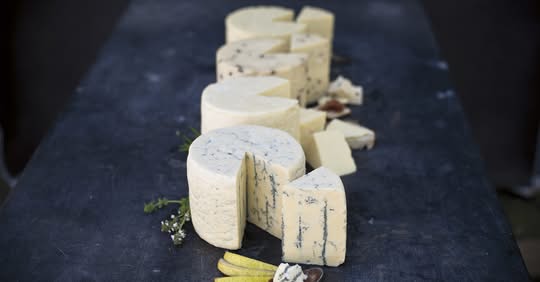National Cheese Day Highlights Whatcom County's Homegrown Cheesemakers