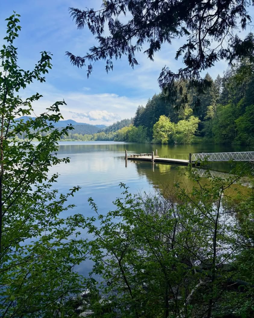 Lake Padden: Bellingham's Beloved Park and Summer Recreation Hub