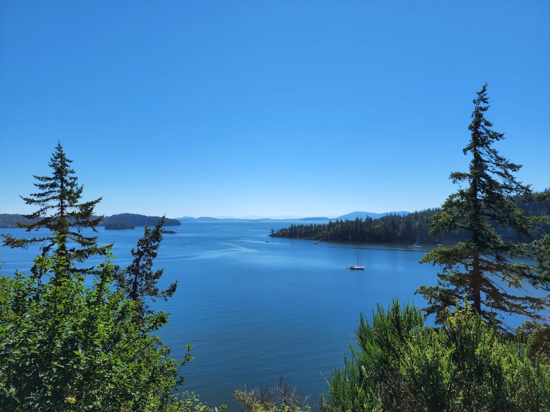 One Drive, Endless Views: Chuckanut Drive in Peak Summer Form