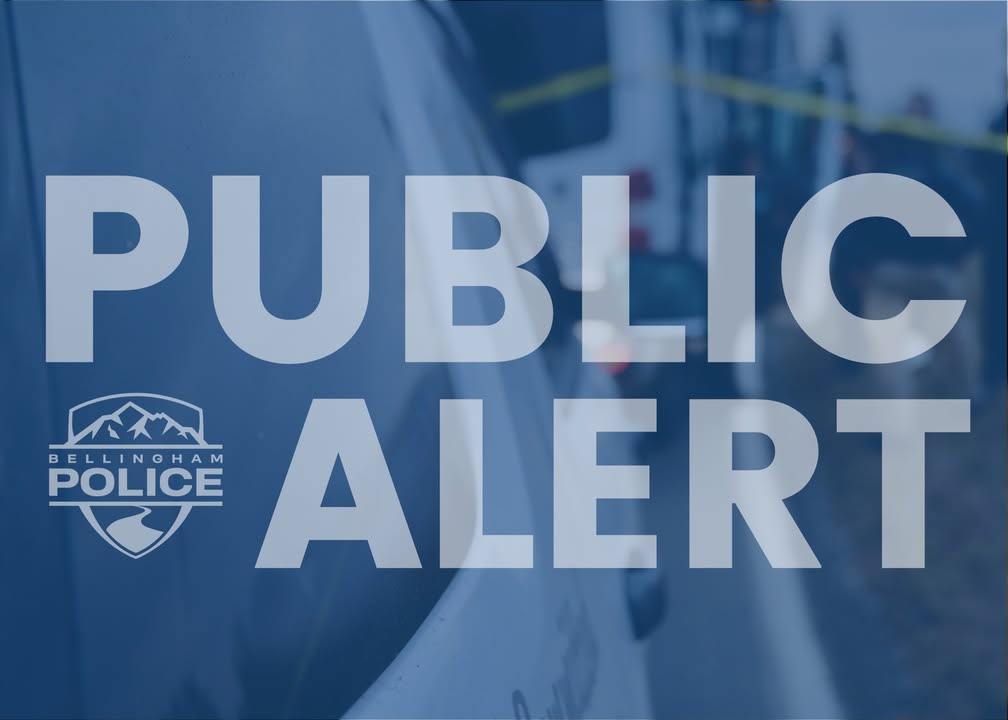 Whatcom County 911 Outage Resolved After Hours-Long Disruption