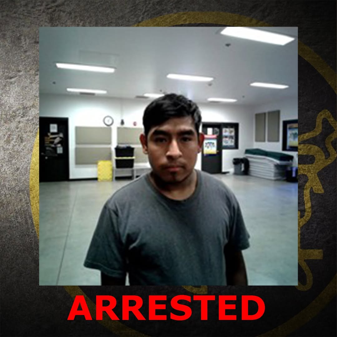 Border Patrol Arrests Mexican National Near Everson in Whatcom County