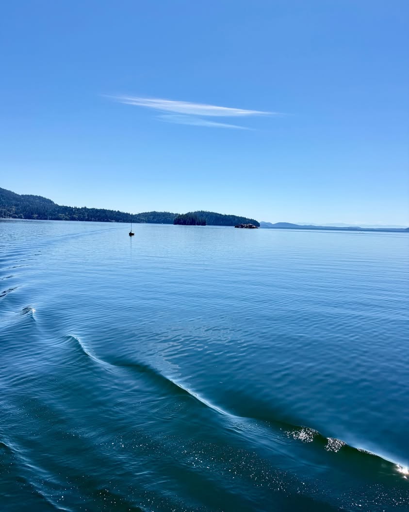 Beautiful Ripples of Life Around Bellingham, WA