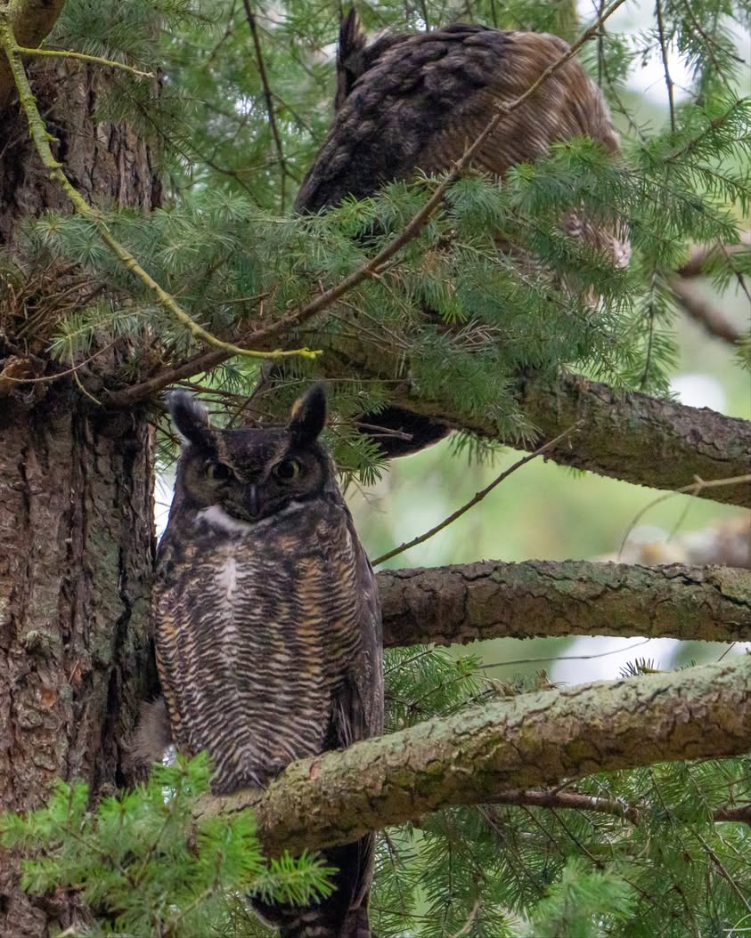 Bellingham Experience Photo Contest Launches July 1: Submit Your Best Whatcom County Shot