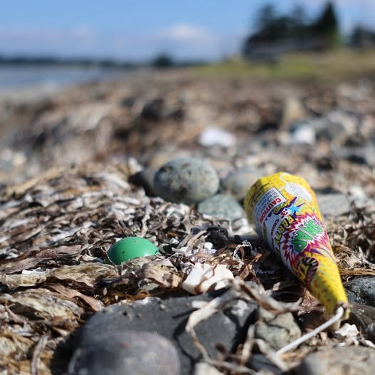 Volunteers Haul Eight Tons of Firework Debris Off Birch Bay Beaches