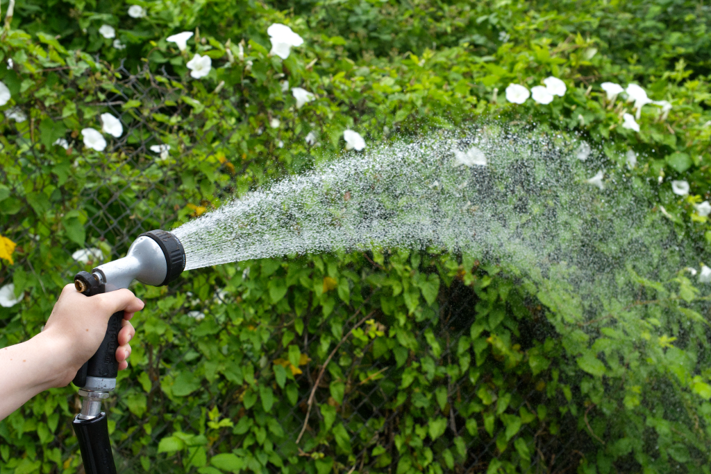 Let it go brown: The changing landscape of NW summer water conservation
