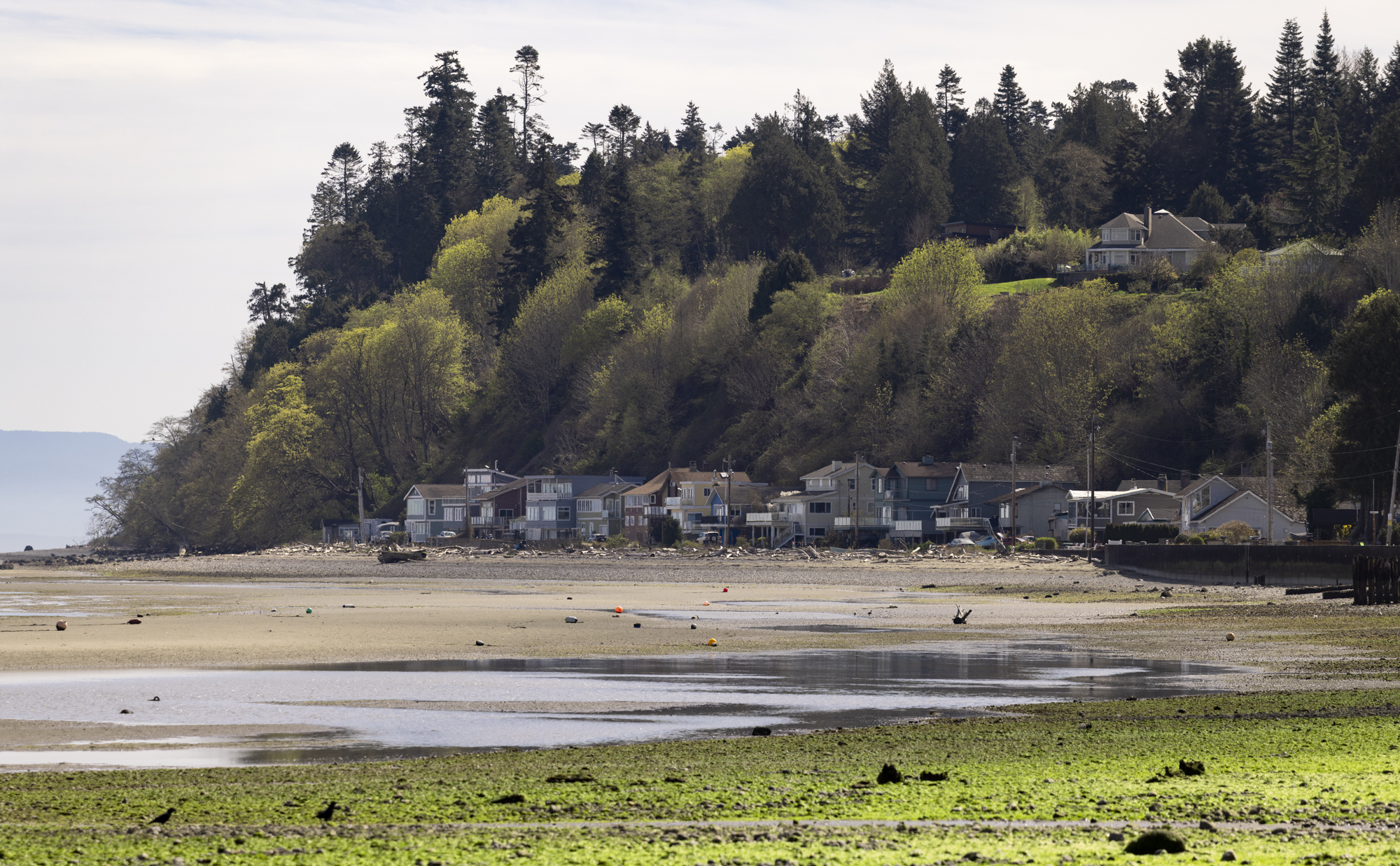 Federal judge orders Whidbey Telecom to notify Lummi Nation before any Point Roberts ground work