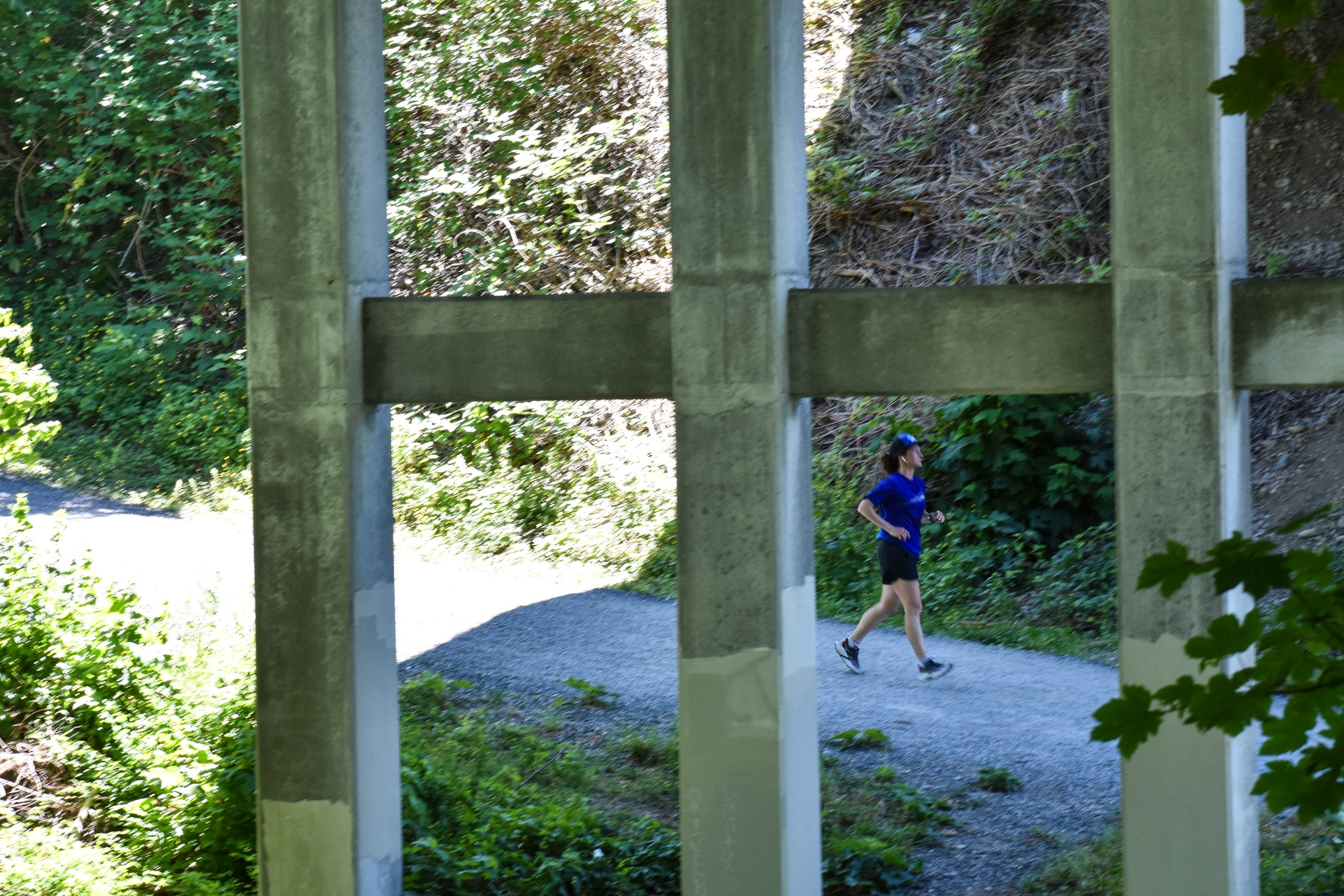 Bellingham nonprofit pivots to trails advocacy with plans for county-wide network