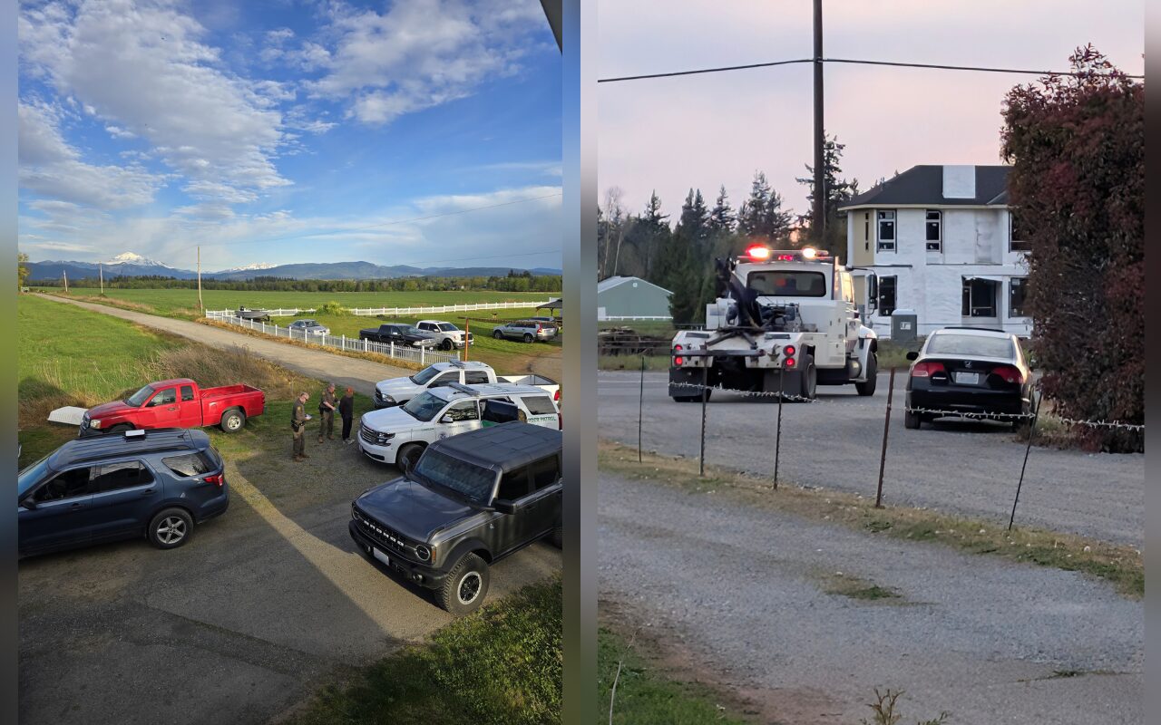 More than 50 workers detained at Lynden packing facility since March in what advocates call first soft raid