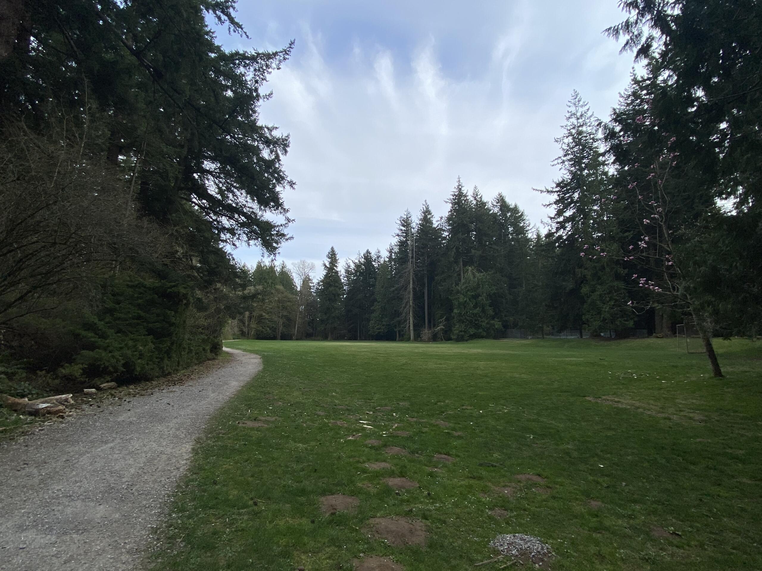Parts of Cornwall Memorial Park closing for years as Bellingham begins major reforestation