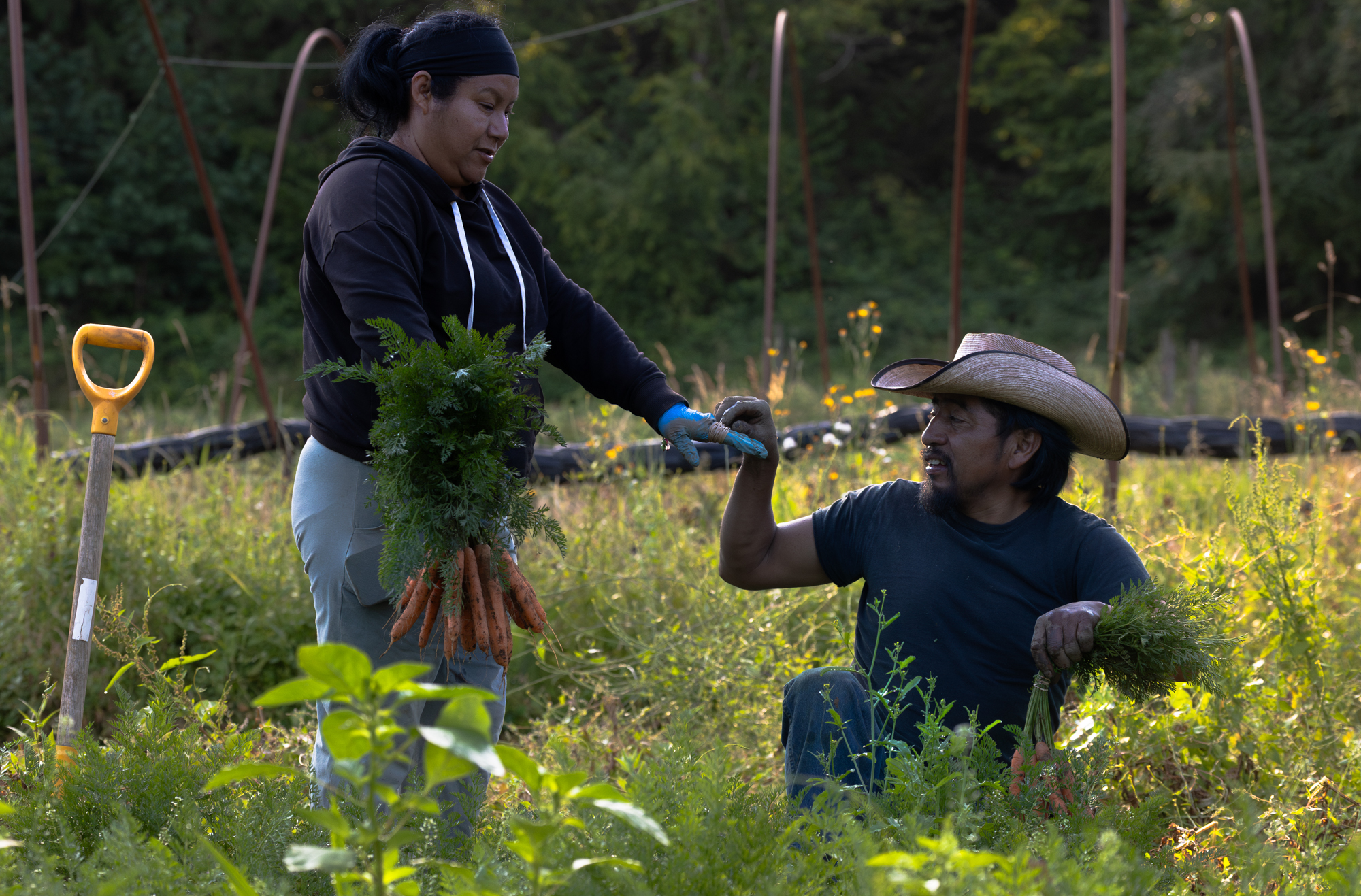 Without Inherited Land, First-Generation Farmers in Whatcom County Struggle to Survive
