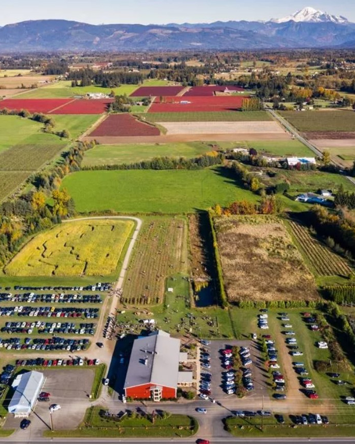 Bellewood Farms Continues Farmtunes Concert Series Every Friday Through August