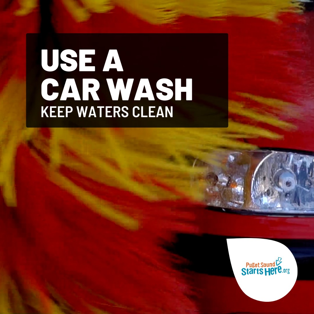 How to Wash Your Car Without Polluting Whatcom County Waterways