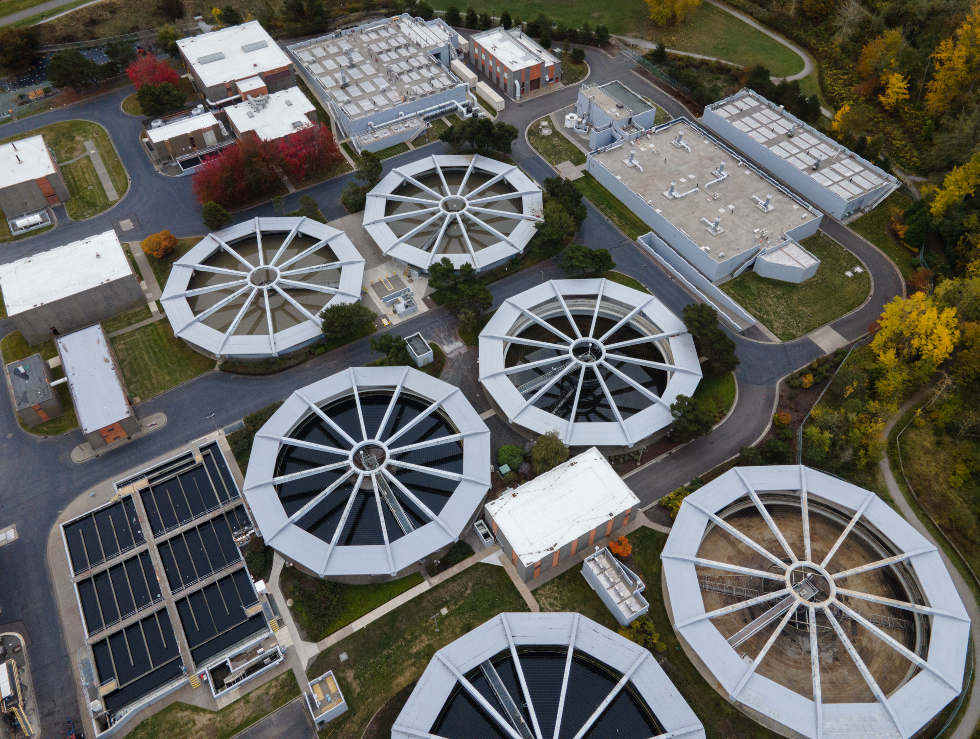 Bellingham's Sewage Incinerator Is Spreading PFAS and Costing Ratepayers