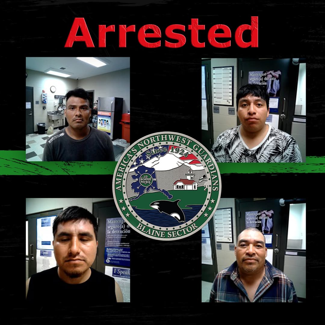 Border Patrol Arrests Four Near Lynden, One Had Child Cruelty Conviction