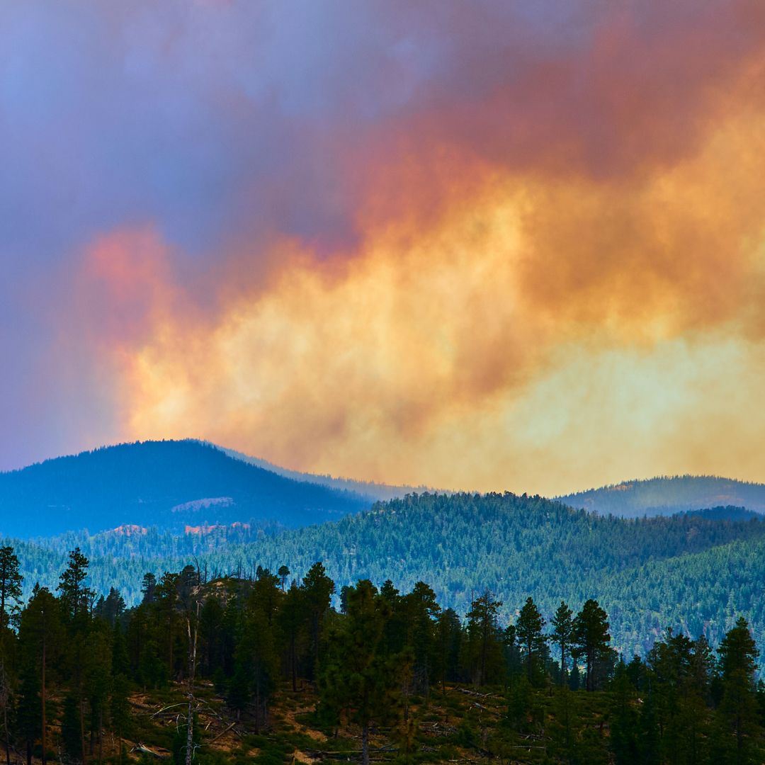 Air Quality Alert and Heat Advisory in Effect for Whatcom County Through Thursday
