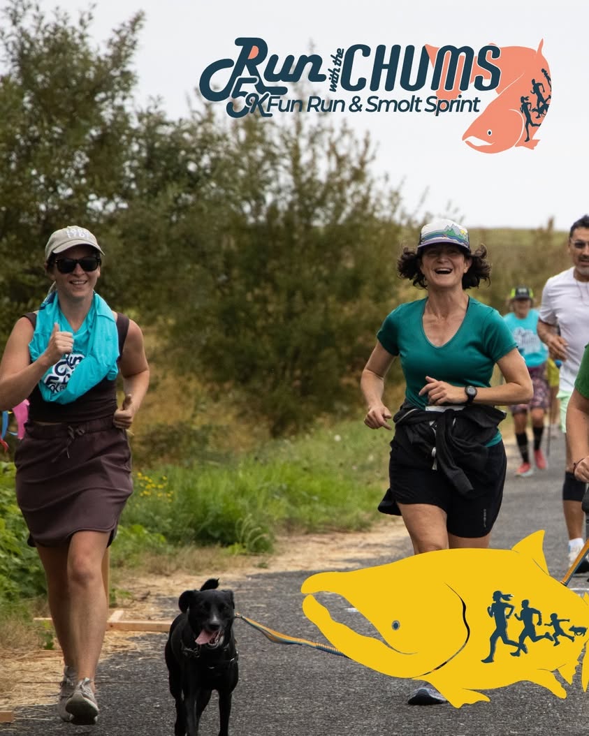 Annual Run with the Chums 5K Returns to Birch Bay on September 12