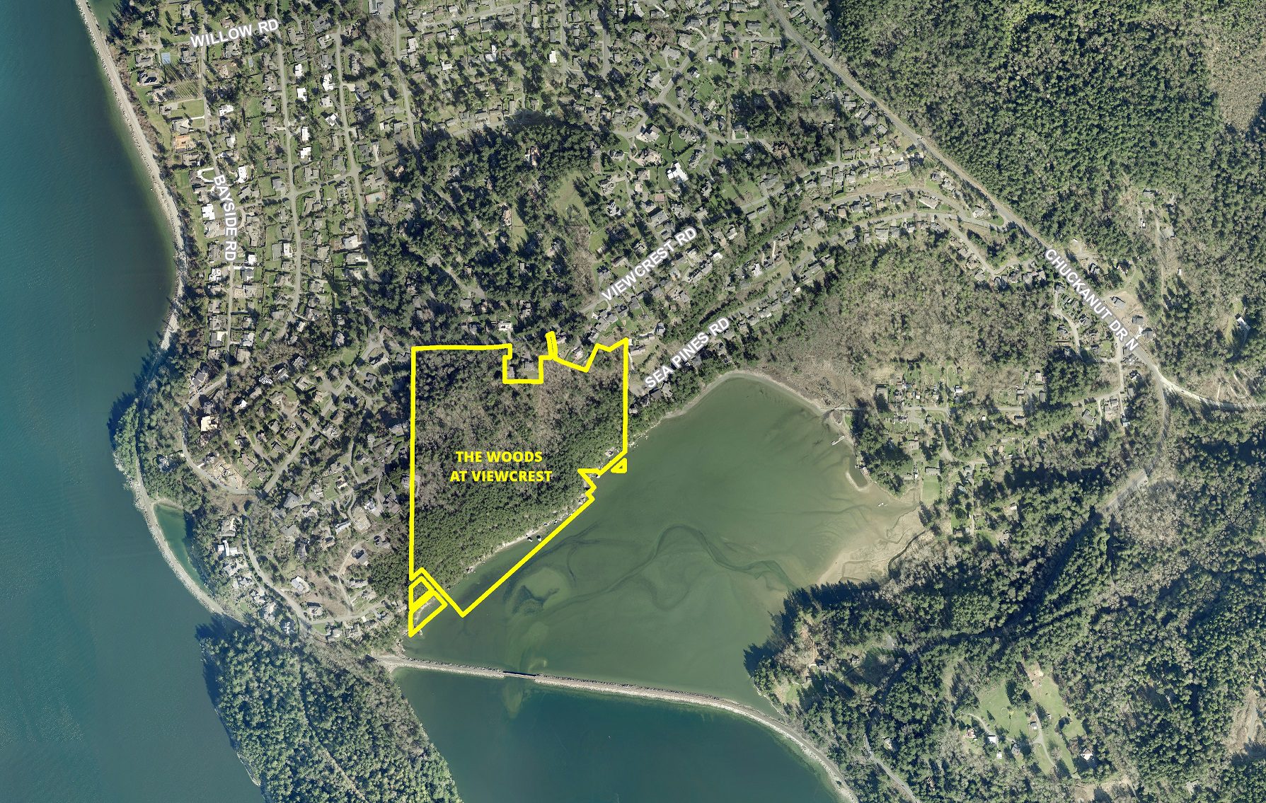 Bellingham City Council to Hear Appeal on Woods at Viewcrest Subdivision Monday
