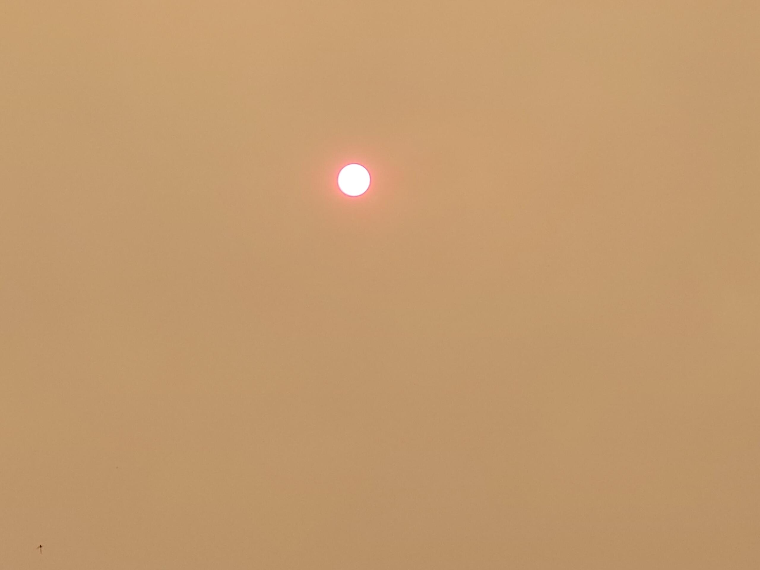 Wildfire Smoke Reaches Hazardous Levels in Parts of Whatcom County