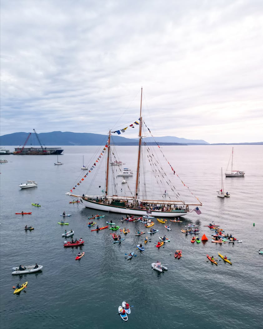 Beats on the Bay Returns to Bellingham Bay Starting August 11