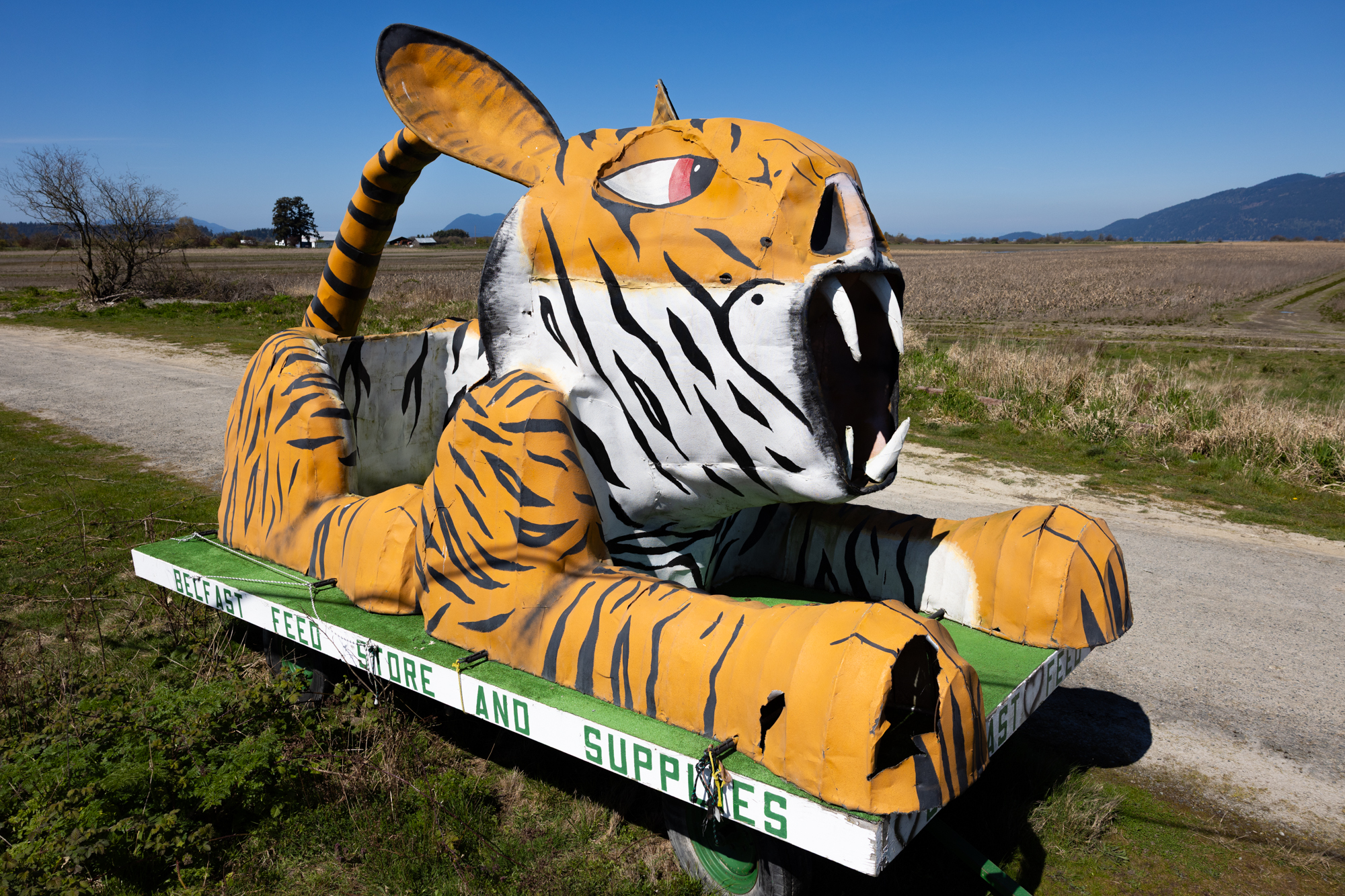 The Story Behind the Tiger Sculpture That Guards the Edge of Edison
