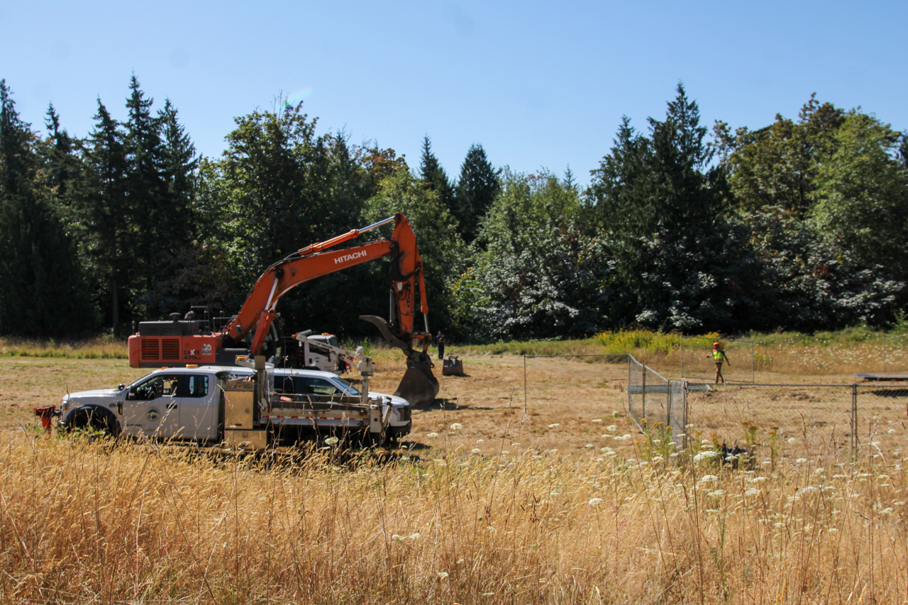 Bellingham Clears King Mountain Encampment as Crews Begin Logging to Deter Return