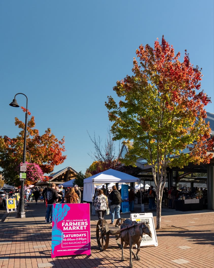 September Is Eat Local Month in Washington: How to Take Part in Whatcom County