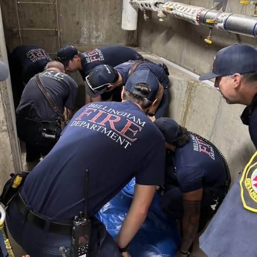 Bellingham Firefighters Train at Western Washington University Campus