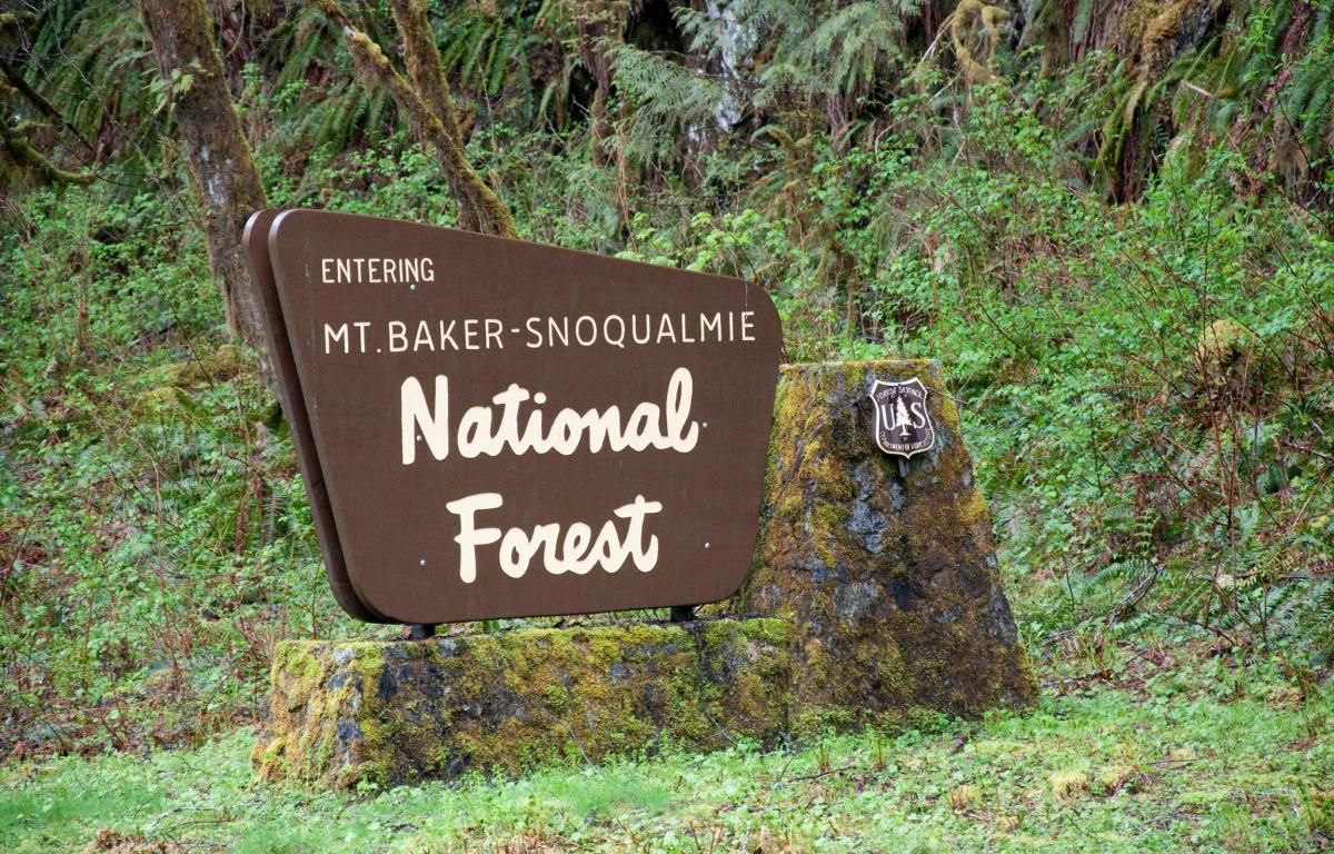 Target Shooting Banned Across Mt. Baker-Snoqualmie National Forest Amid Fire Danger