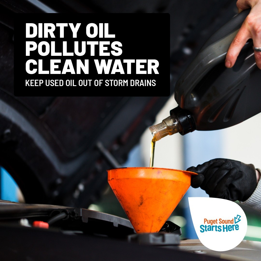 Where to Safely Dispose of Used Motor Oil and Auto Waste in Whatcom County