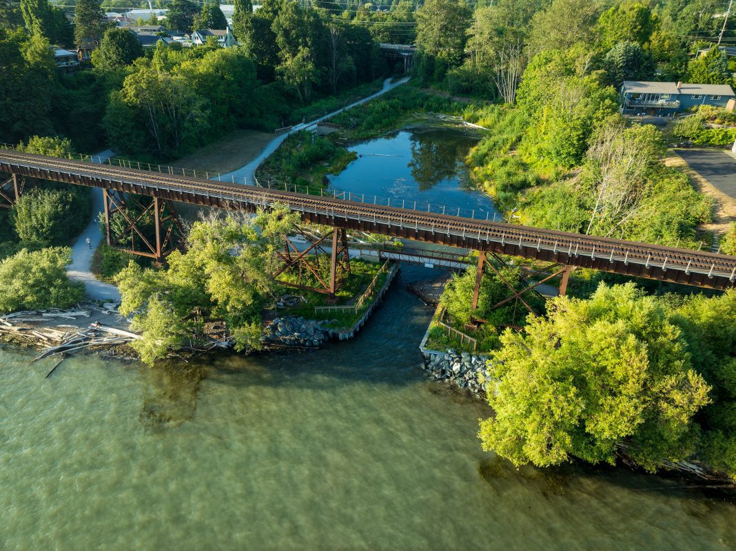 Bellingham Crews Return to Little Squalicum Creek for Post-Restoration Habitat Work