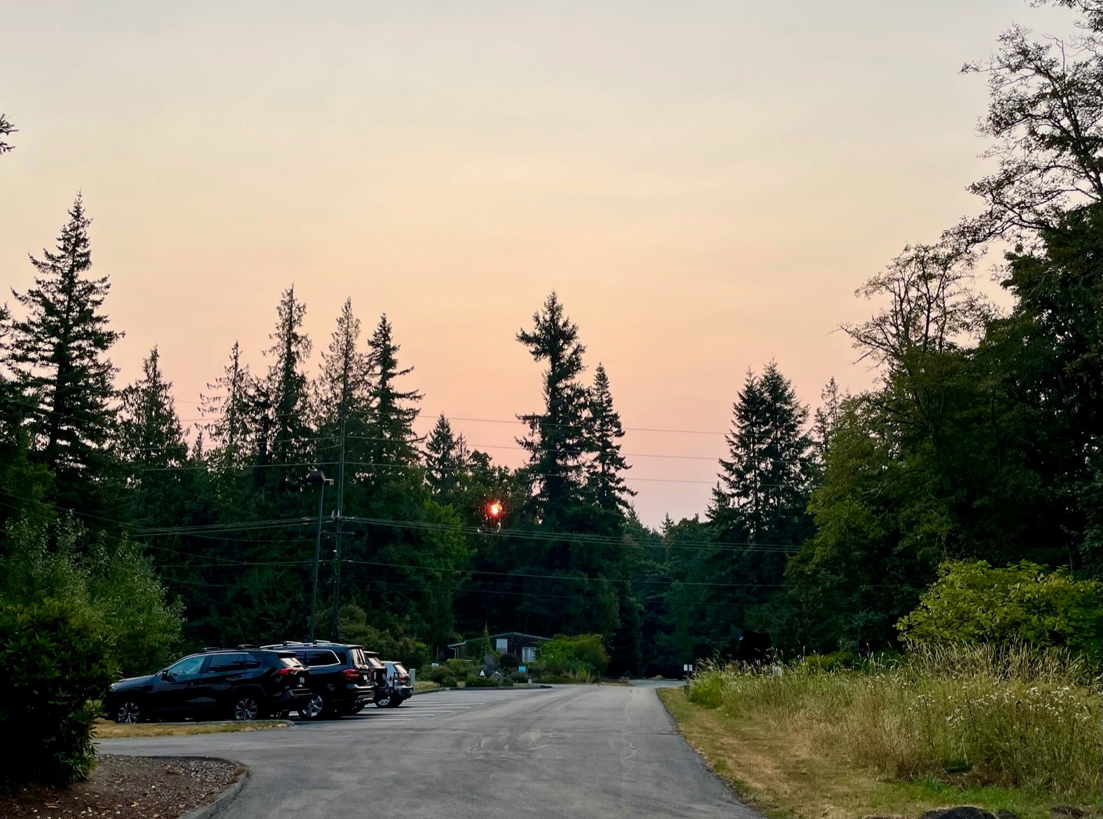 Wildfire Smoke From BC Pushes Air Quality to Unhealthy Levels in Parts of Whatcom County