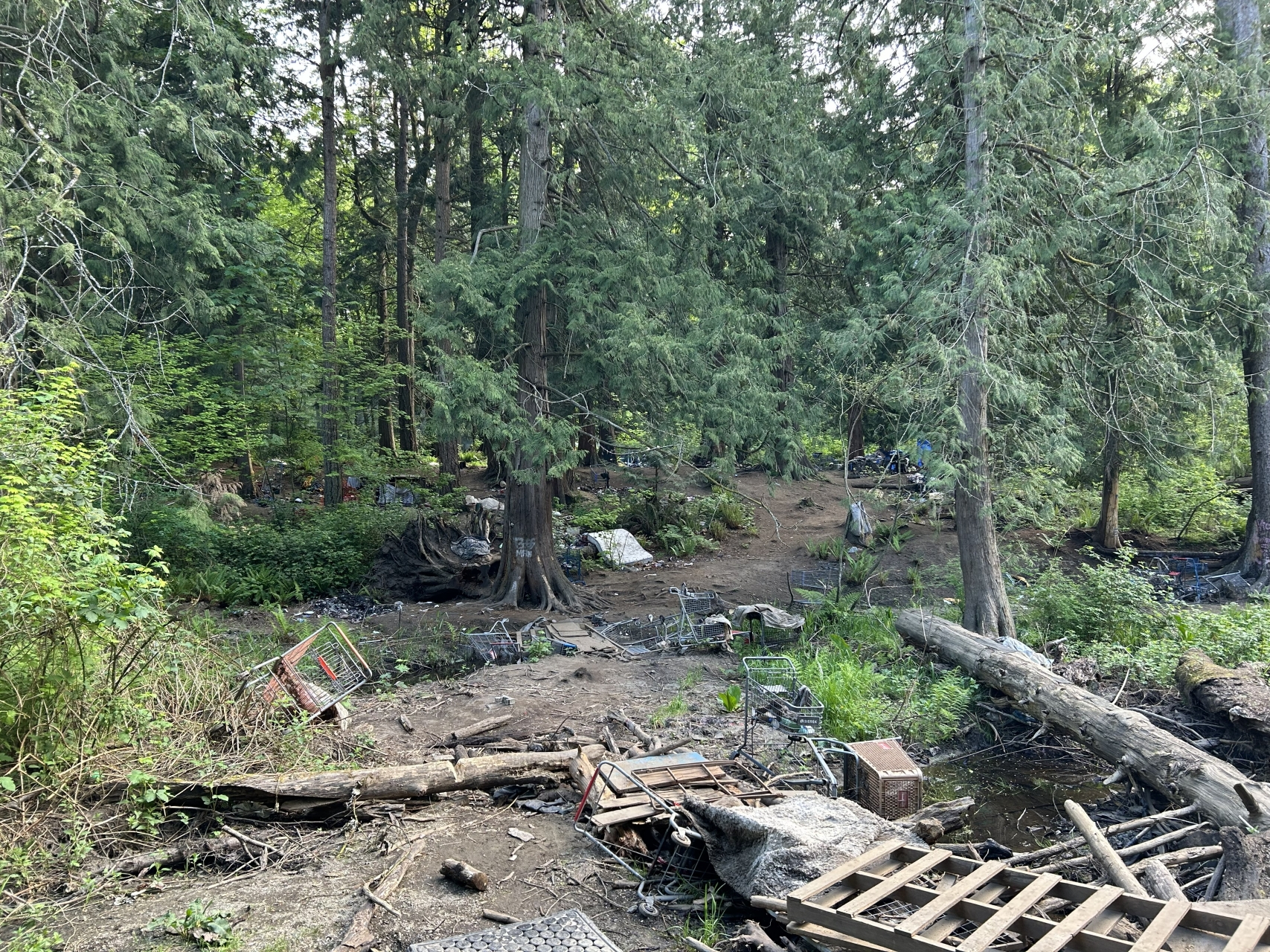 New Encampments Appear Across Bellingham After King Mountain Camp Cleared