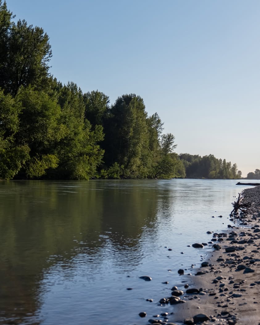Your Late-Summer Guide to Whatcom County Parks and Green Spaces