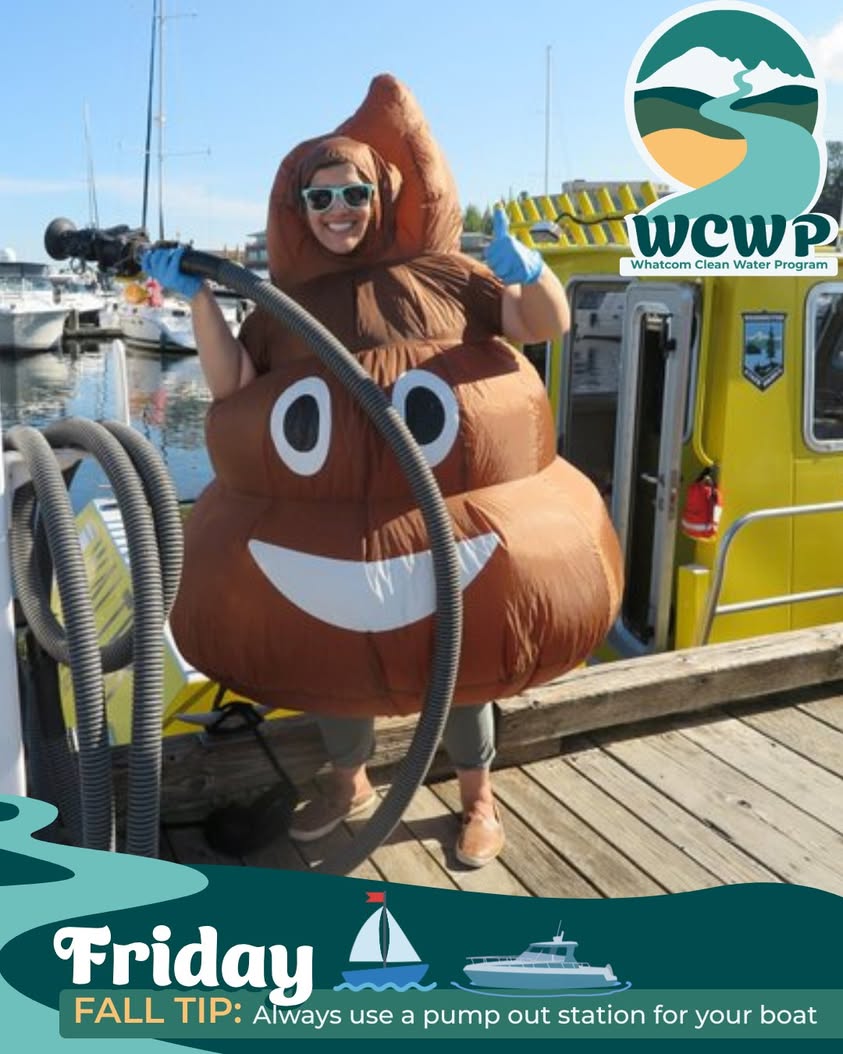 Boater Sewage Pollution Can Close Beaches and Shut Down Oyster Harvests in Whatcom County