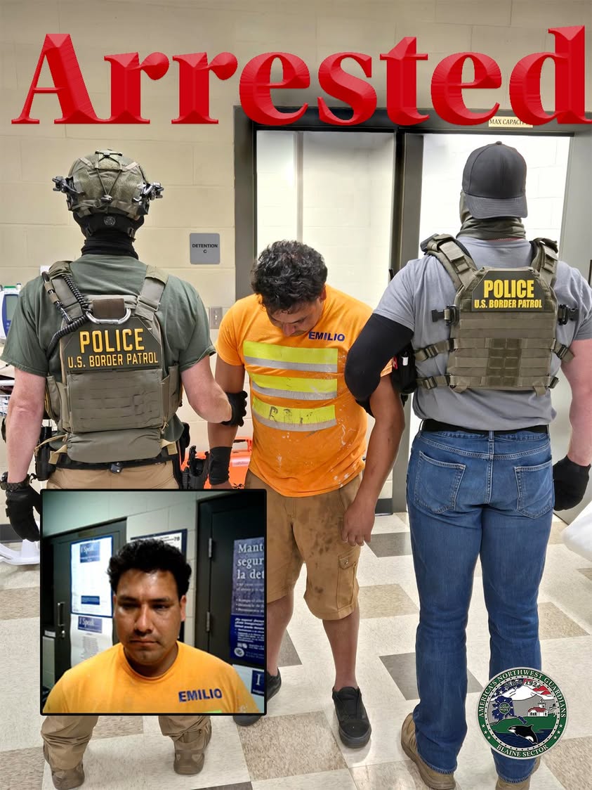 Border Patrol Arrests Man Near Bellingham With Multiple Prior DUI Convictions