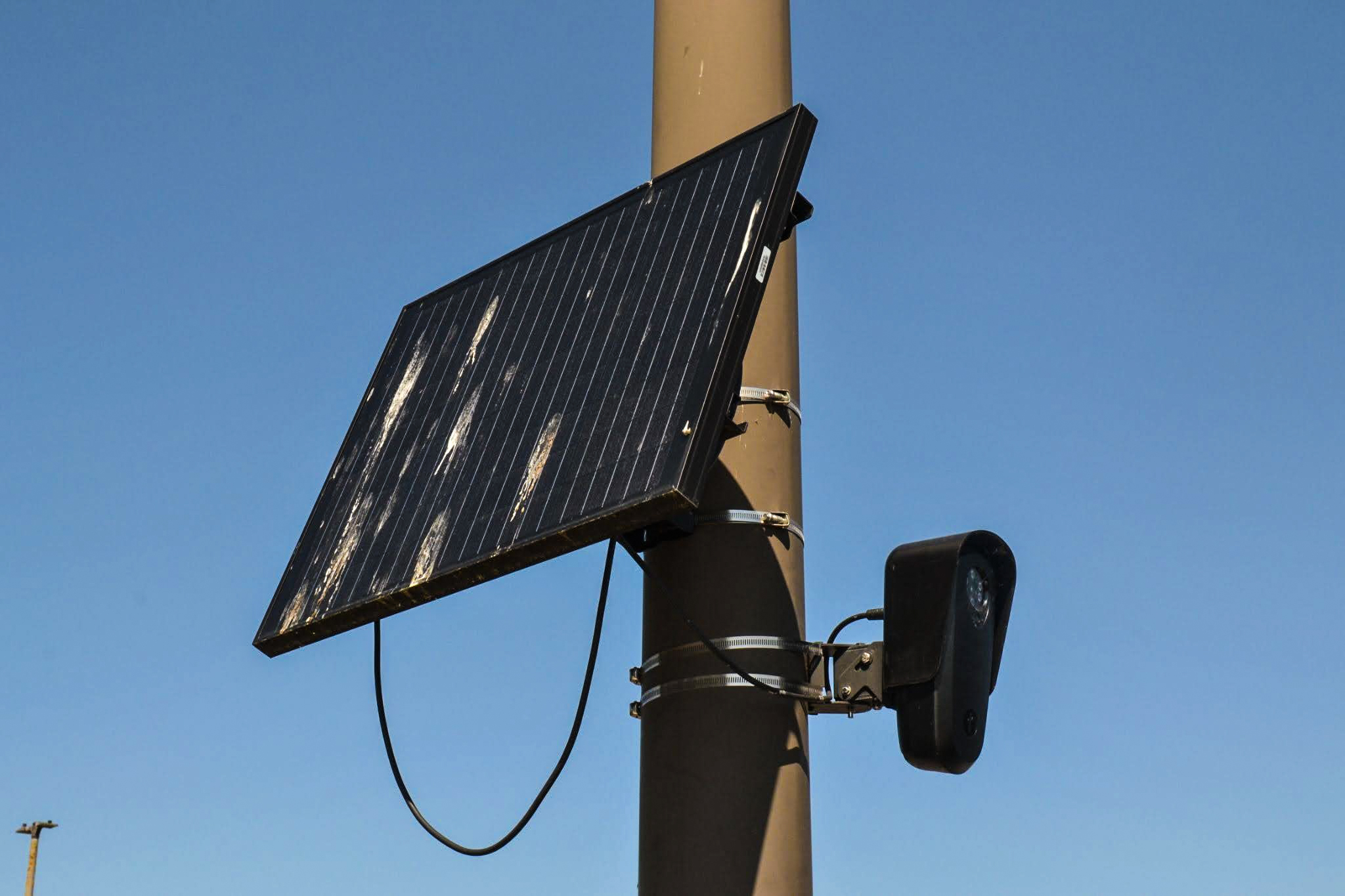 Bellingham Residents Cut Down Flock License Plate Cameras in Growing Trend