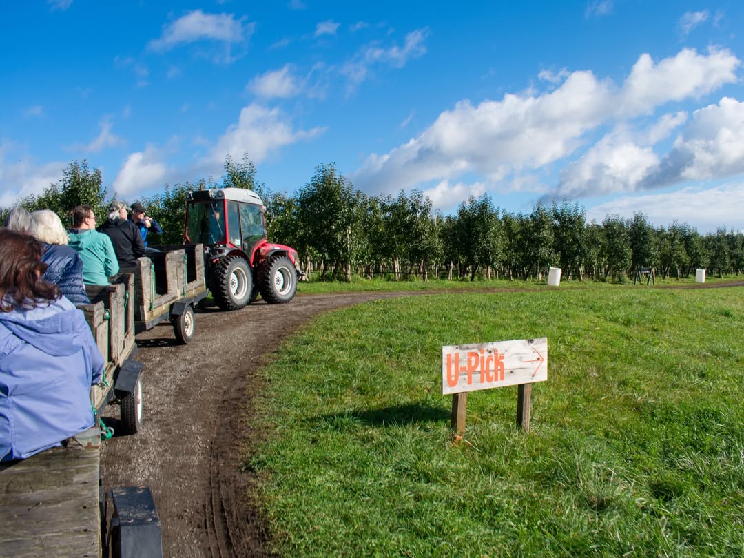 Bellewood Farms Apple U-Pick Season Opens Saturday Through Late October