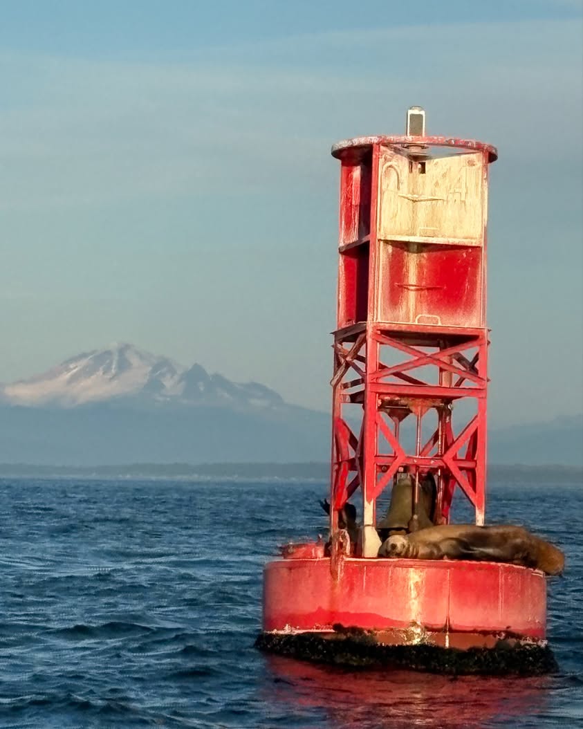 Bellingham Experience Photo Contest Returns October 2 for Final Round of 2026